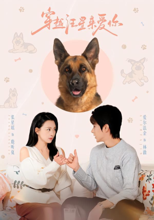 穿越汪星来爱你(62集) 穿越汪星来爱你(62集)短剧爆款推荐