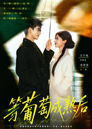 等葡萄成熟后(82集) 等葡萄成熟后(82集)免费短剧看不停