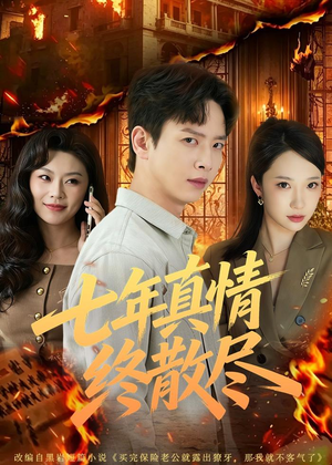 七年真情终散尽（60集）一口气追完全集