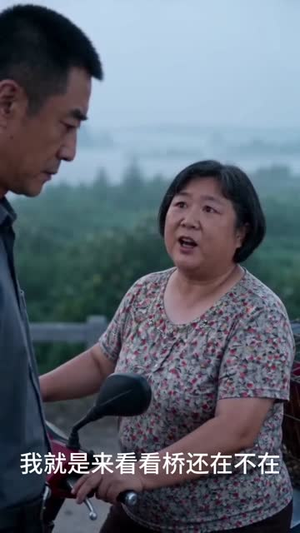 桥塌了，全村慌了！（30集）热播短剧免费看