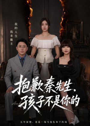 抱歉秦先生,孩子不是你的(53集) 抱歉秦先生,孩子不是你的(53集)短剧热门合集