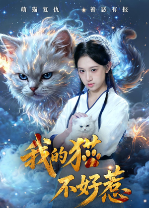 我的猫不好惹(42集) 我的猫不好惹(42集)百度在线观看