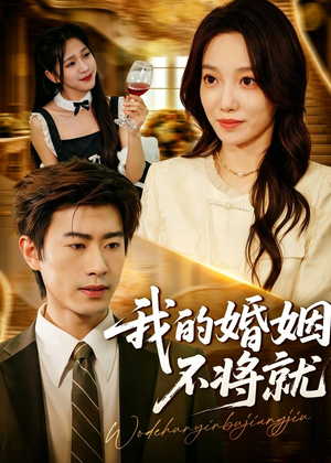 我的婚姻不将就(30集) 我的婚姻不将就(30集)精彩片段