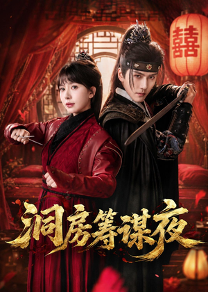 洞房筹谋夜（50集）全剧免费观看