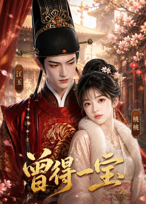 曾得一宝(19集) 曾得一宝(19集)在哪看免费