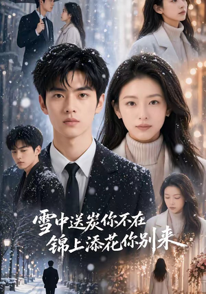 雪中送炭你不在，锦上添花你别来（60集）短剧热播抢先看