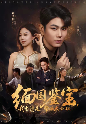 缅国鉴宝，我老婆是帮派大小姐（78集）360网盘观看