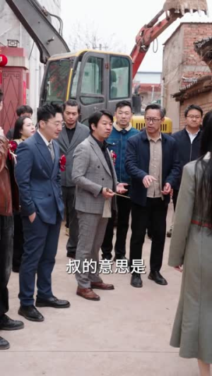 我家一亩三分地谁也别想动（59集）排行榜前十短剧
