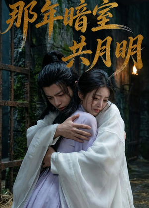 那年暗室共月明（73集）短剧在哪个平台