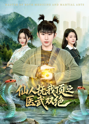仙人抚我顶之医武双绝(66集) 仙人抚我顶之医武双绝(66集)免费版
