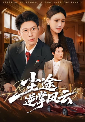 尘途逆掌风云（52集）UC网盘在线看