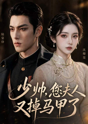 少帅,您夫人又掉马甲了(41集) 少帅,您夫人又掉马甲了(41集)免费版
