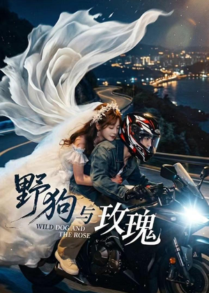野狗与玫瑰（30集）在线观看全集