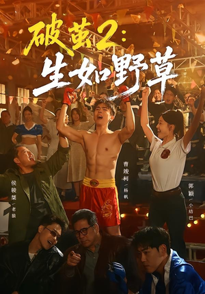 破茧2：生如野草（55集）短剧精彩绝伦