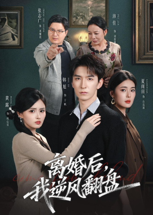 离婚后，我逆风翻盘（83集）百度网盘资源
