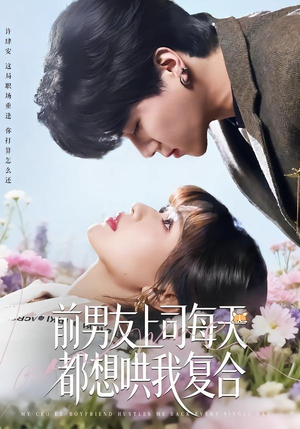 前男友上司每天都想哄我复合（77集）高分推荐免费看