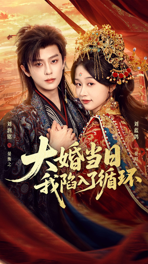 大婚当日，我陷入了循环（67集）短剧热门合集