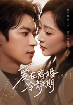 爱在离婚冷静期(73集) 爱在离婚冷静期(73集)精彩短剧后续