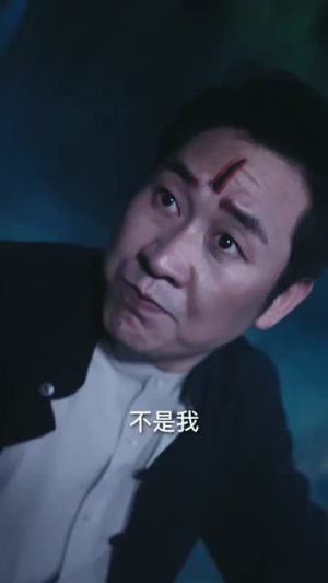 风水大宗师之四九伏魔传(74集) 风水大宗师之四九伏魔传(74集)红果免费短剧