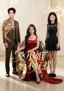 桑小姐她不好惹（103集）精彩热门短剧