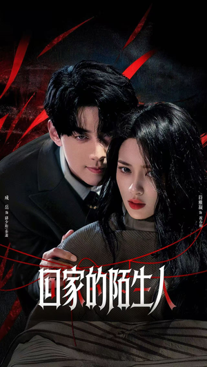 回家的陌生人（61集）免费在线看