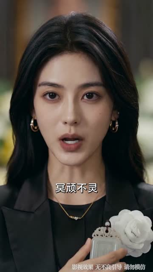 父亲葬礼当天，我在高铁叫停弟弟婚事（59集）精彩的短剧