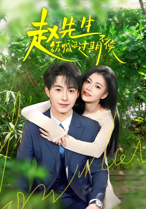 赵先生结婚证过期不候（50集）1-102集