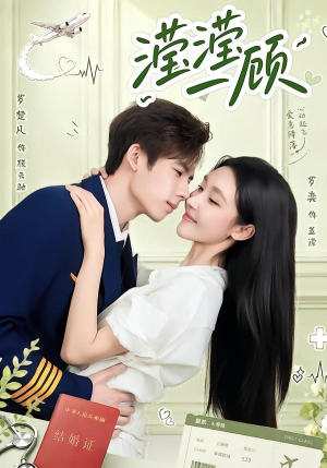 滢滢一顾（70集）短剧小说在线看