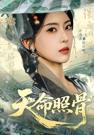 天命照骨（81集）短剧抢先看全集