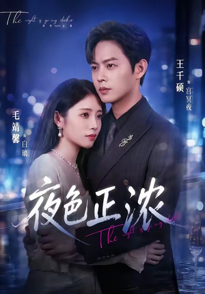夜色正浓（65集）观看软件