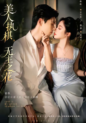 美人执棋，无主之花（65集）精彩短剧随心推