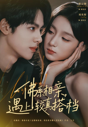 佛系相亲,遇上较真搭档(91集) 佛系相亲,遇上较真搭档(91集)红果短剧看全集