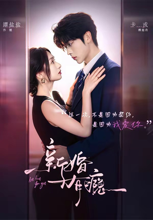 新婚有瘾（83集）完整版