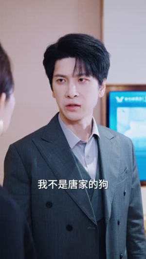被净身出户后我身份曝光了(83集) 被净身出户后我身份曝光了(83集)短剧抢先看全集