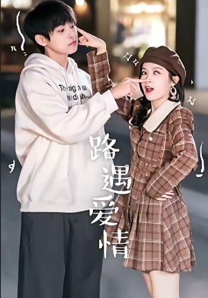 路遇爱情（12集）追短剧看全集