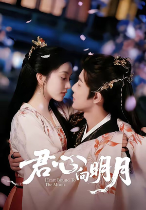 君心向明月（60集）夸克网盘在线看