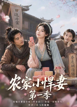 农家小悍妻第一季（70集）在哪看免费