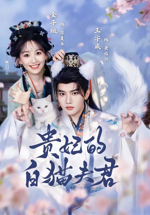贵妃的白猫夫君(81集) 贵妃的白猫夫君(81集)最后的大结局