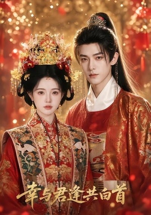 幸与君逢共白首（79集）好看到停不下来