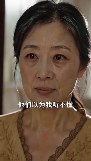 走出家门当译官(70集) 走出家门当译官(70集)短剧抢先看全集