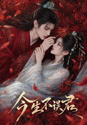今生不误君（106集）1-102集