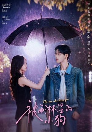 被雨淋湿的小狗(80集) 被雨淋湿的小狗(80集)一共多少集