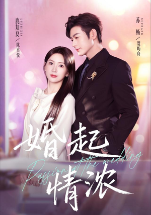 婚起情浓(99集) 婚起情浓(99集)无需充值尽情看