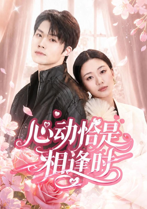 心动恰是相逢时(80集) 心动恰是相逢时(80集)在线观看完整版