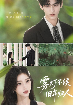 雾灯不候旧年归人（50集）上热门短剧