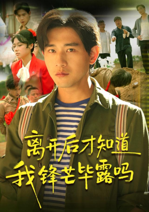 离开后才知道我锋芒毕露吗（87集）短剧排行榜