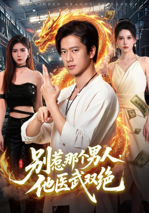 别惹那个男人，他医武双绝（109集）免费观看