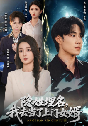 隐姓埋名，我去当了上门女婿（80集）在线看到大结局