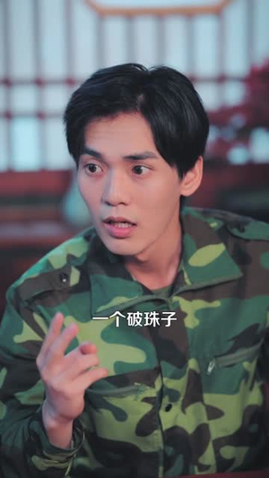 神龙寻宝图（100集）短剧小说在线看