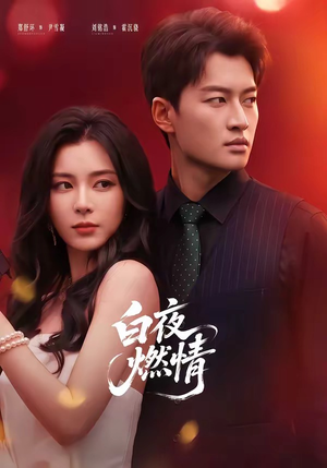 白夜燃情(64集) 白夜燃情(64集)高清画质免费看